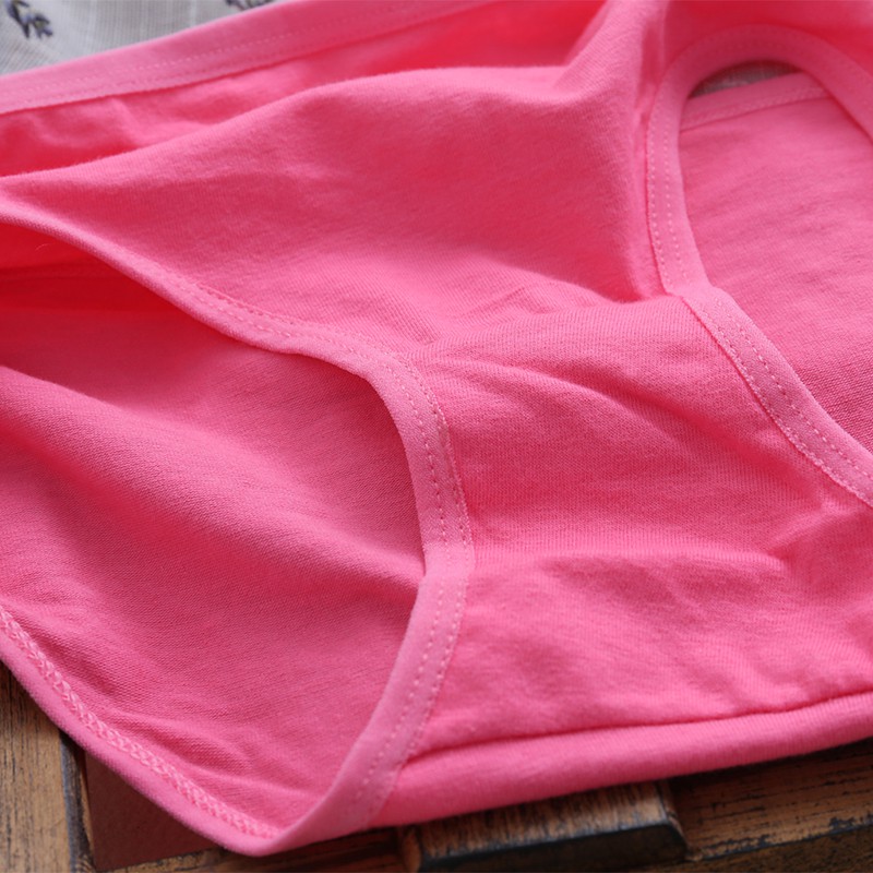 [Mã WARN10 giảm 10k đơn 99k] 10 quần cotton Pulo | BigBuy360 - bigbuy360.vn