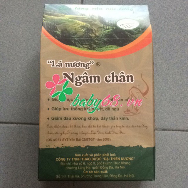 Lá nương ngâm chân - Bài thuốc gia truyền của người Tày