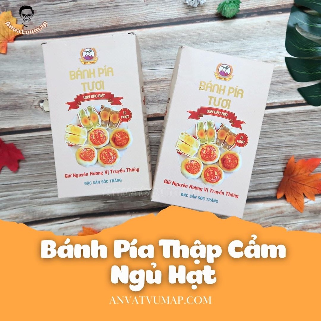 [ANVATVUMAP - NHÀ LÀM 100%] COMBO Bánh Pía Thập Cẩm Ngũ Hạt (Nhân Mặn) -Hộp 4 Cái