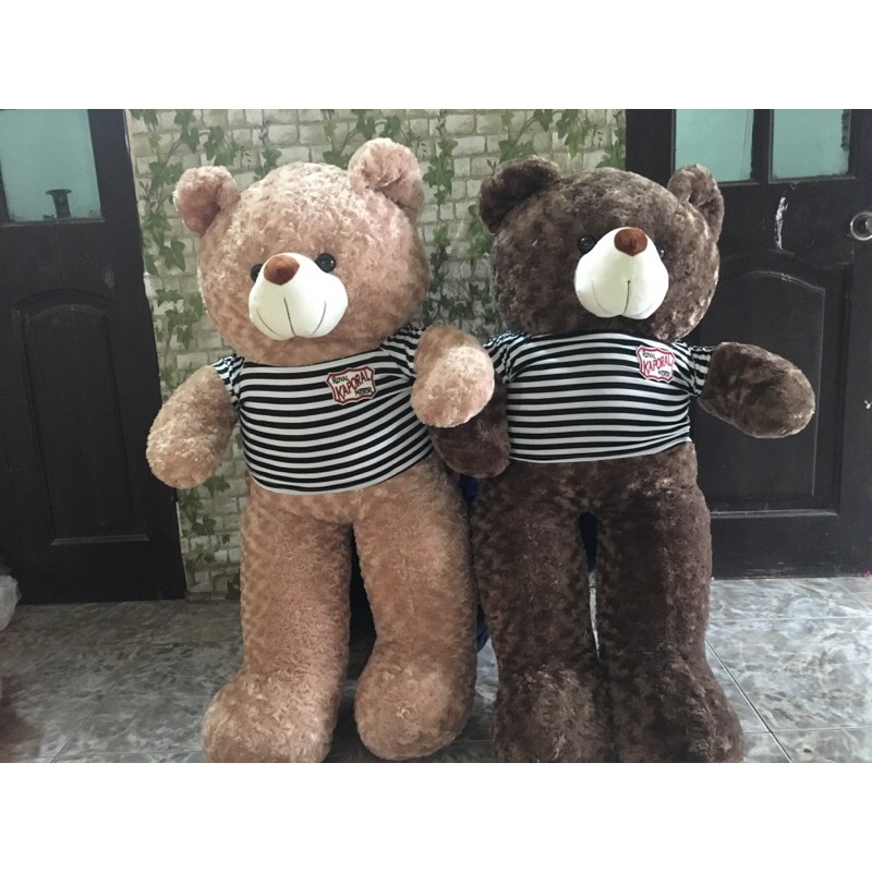 Gấu Teddy Nhồi Bông Mềm Dễ Thương Cao 1M20 Cam Kết Kích Thước Chuẩn.
