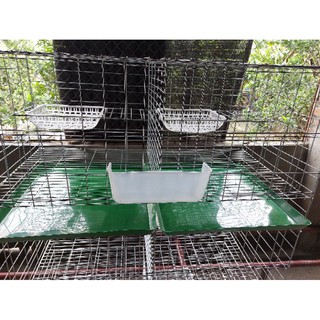 10 Khay nhựa hứng phân lồng chim bồ câu