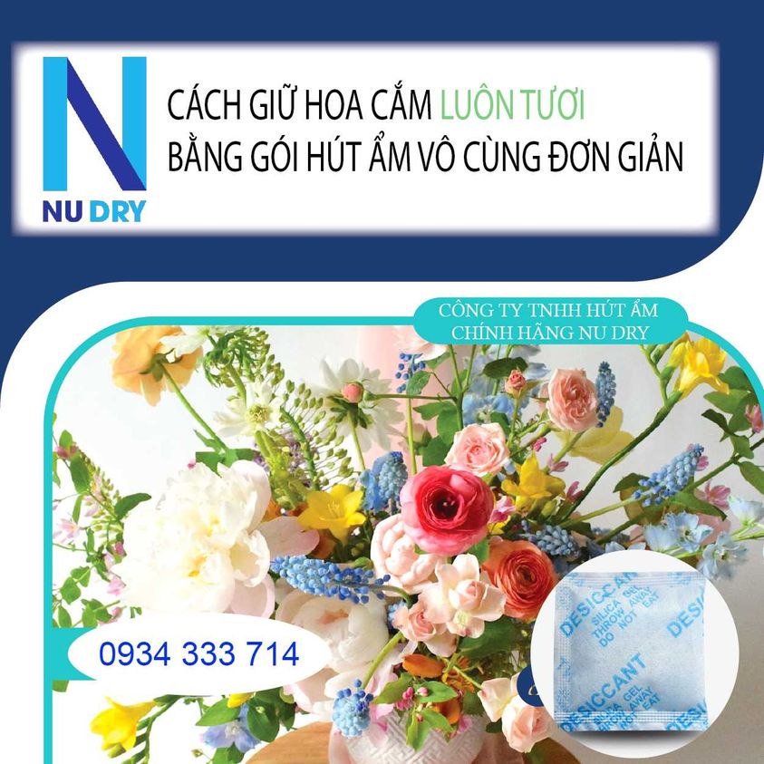 Hạt hút ẩm 500GR Silicagel xanh gói hút ẩm Máy ảnh linh kiện điện  Phòng Ngủ  Quần áo Giày dép NU DRY