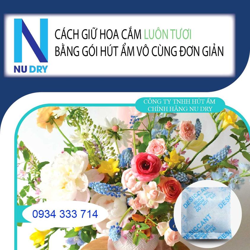 Gói Hút Ẩm Đóng Túi 500 Gram, Loại Gói 1/2/3/5/10/50/100/200gram Silica Gel -Hạt hút ẩm thực phẩm quần áo giày dép NUDRY