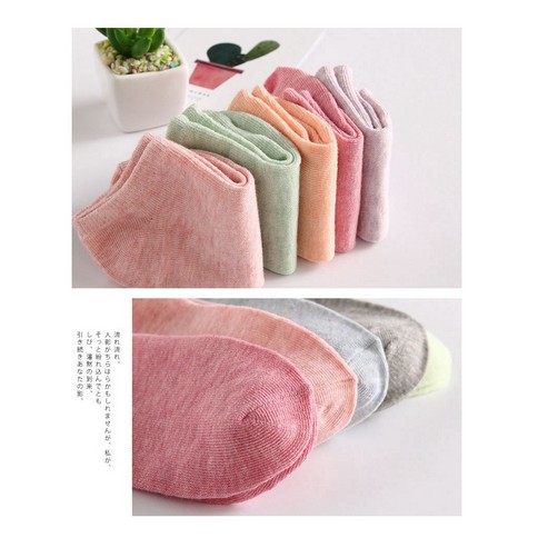 Tất Vớ Nữ cao cổ kháng khuẩn phong cách Hàn Quốc, Vớ tất nhún nữ cao cổ đen trắng nhiều màu - Có tất gấu