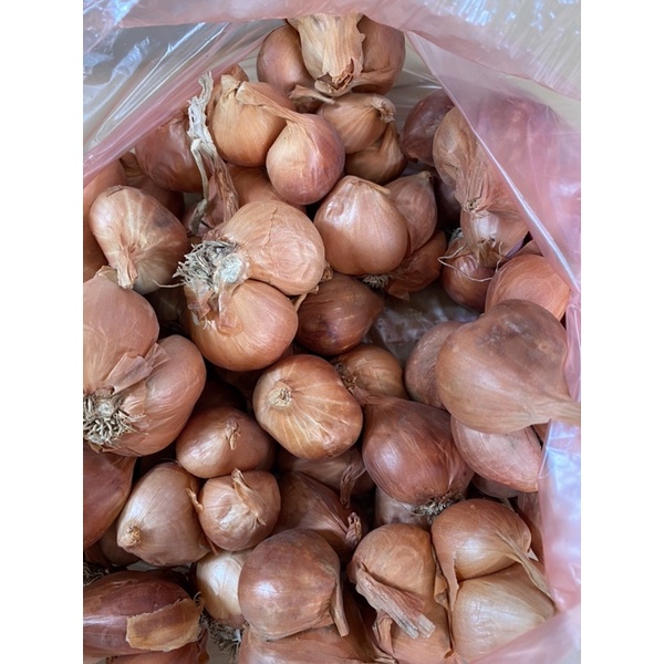 1 Kg hành khô ta thơm ngon chắc củ