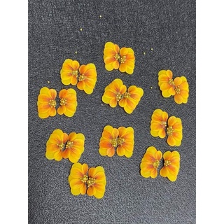 Hoa bột nail Hướng Dương nửa