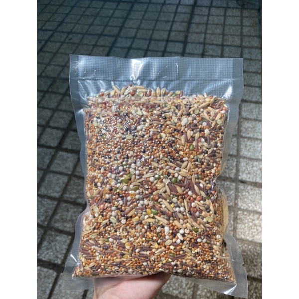 Ngũ Cốc 20 loại hạt đặt biệt cho Chim Cu Gáy