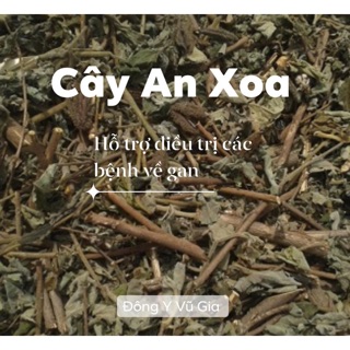 Lá Cây An Xoa (sao khô ) giải độc Gan
