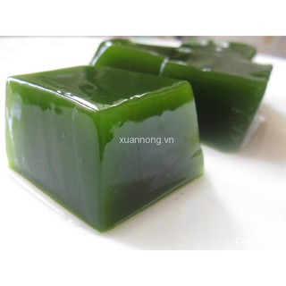 HẠT GIỐNG SƯƠNG SÂM