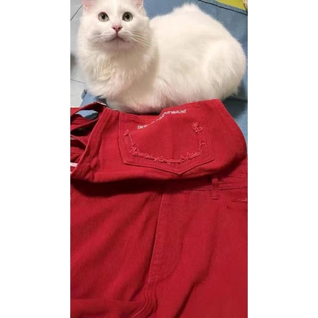 ❤️ YẾM DEMI ĐỎ NĂNG ĐỘNG-ODER