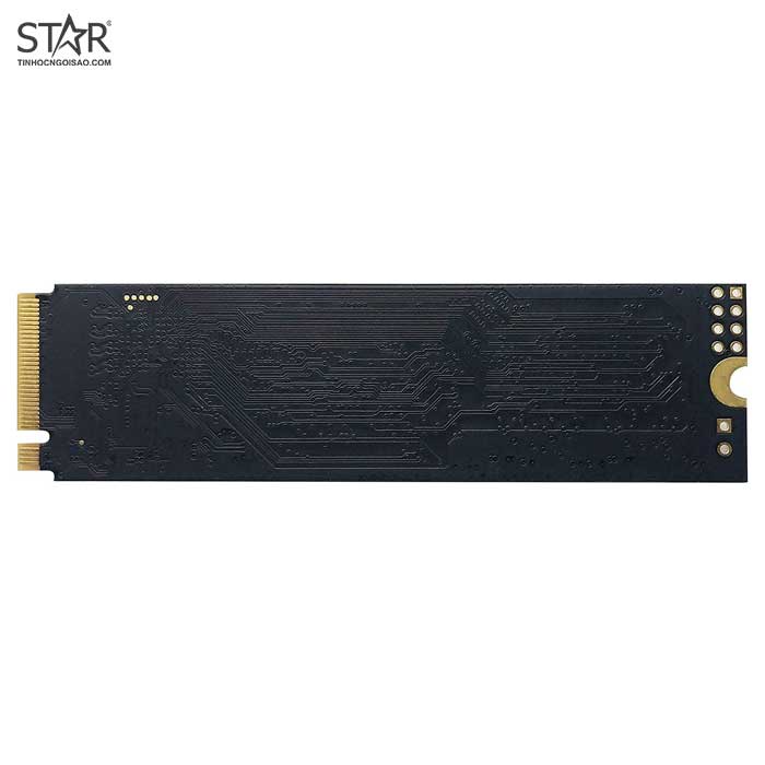 Ổ cứng SSD 256G Patriot P300 M.2 NVMe PCIe Gen3x4 (P300P256GM28) | BigBuy360 - bigbuy360.vn