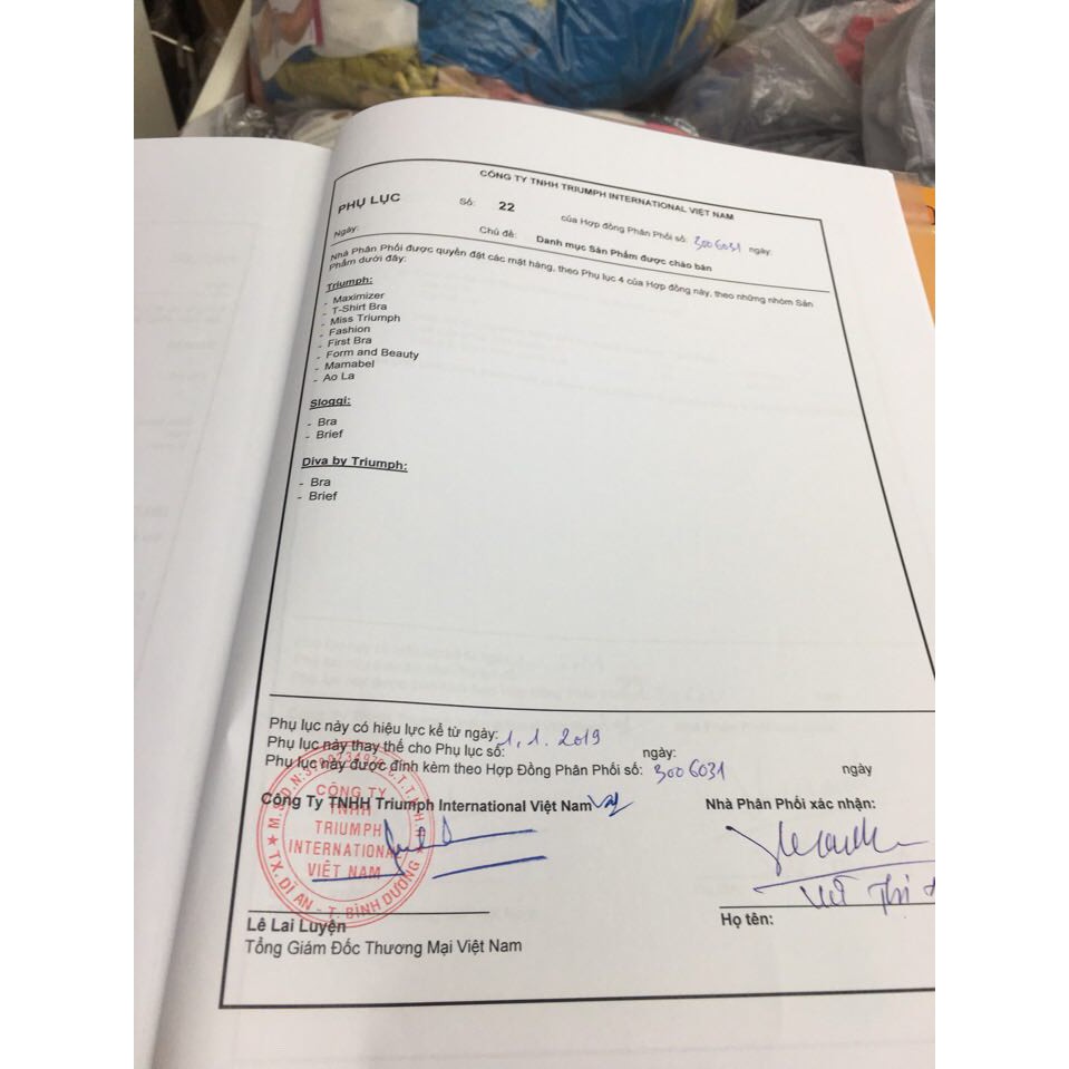 Áo Lót Triumph Fashion 921 WHPD CHÍNH HÃNG