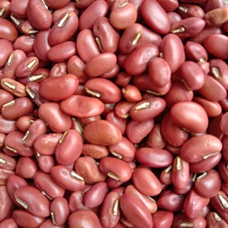 ĐẬU ĐỎ SẠCH 500G