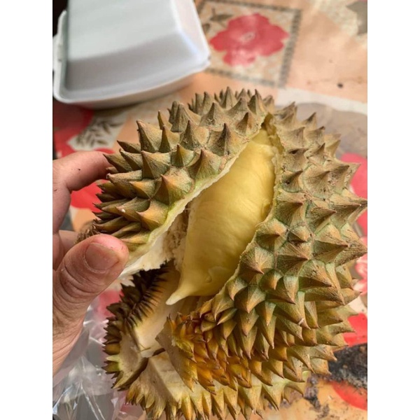 TRÁI SẦU RIÊNG THÁI MONTHONG LOẠI Nhất ( Trái Từ 2,5-4,5kg
