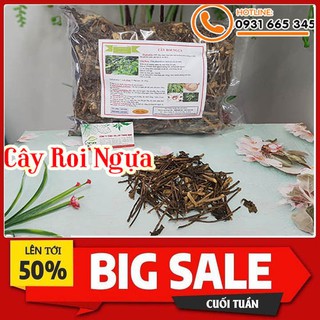 Cây Roi Ngựa 100g - Loại Cao Cấp Hàng Cty