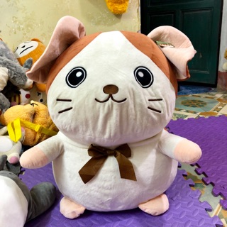 Gấu bông hàn