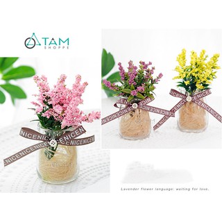 Chậu hoa nhỏ để bàn Lavender số 77