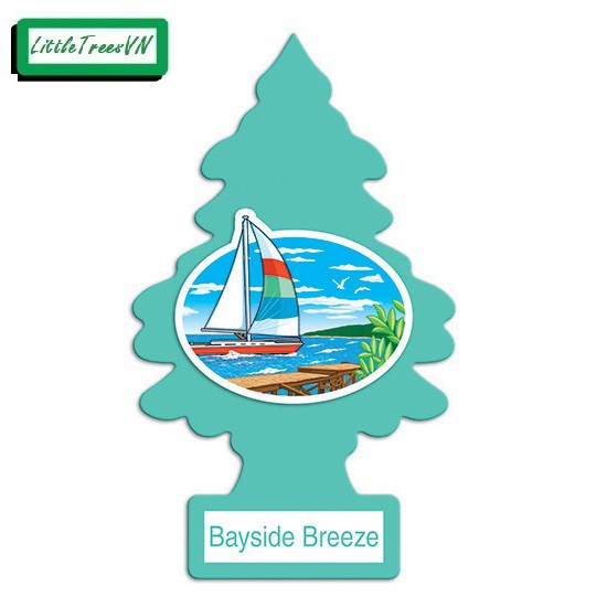 COMBO 5 CÂY THÔNG THƠM LITTLE TREES - Bayside Breeze