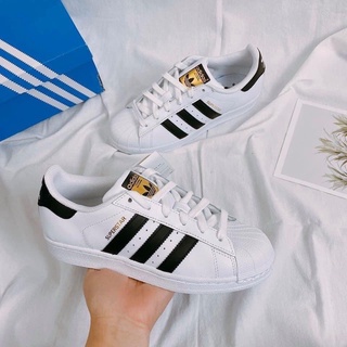 Giày Adidas SuperStar mũi sò chính hãng