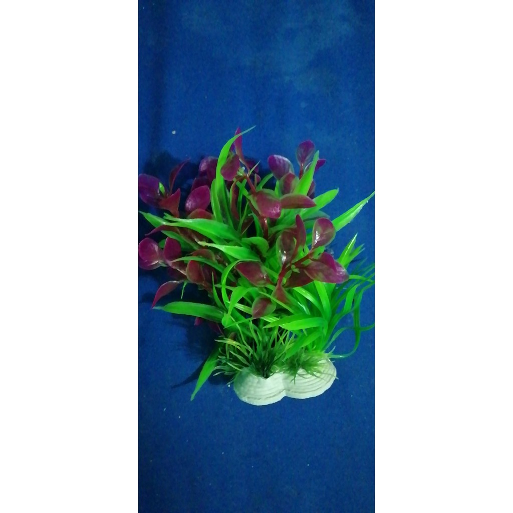 Cỏ hoa trang trí bể cá nhiều màu 15cm
