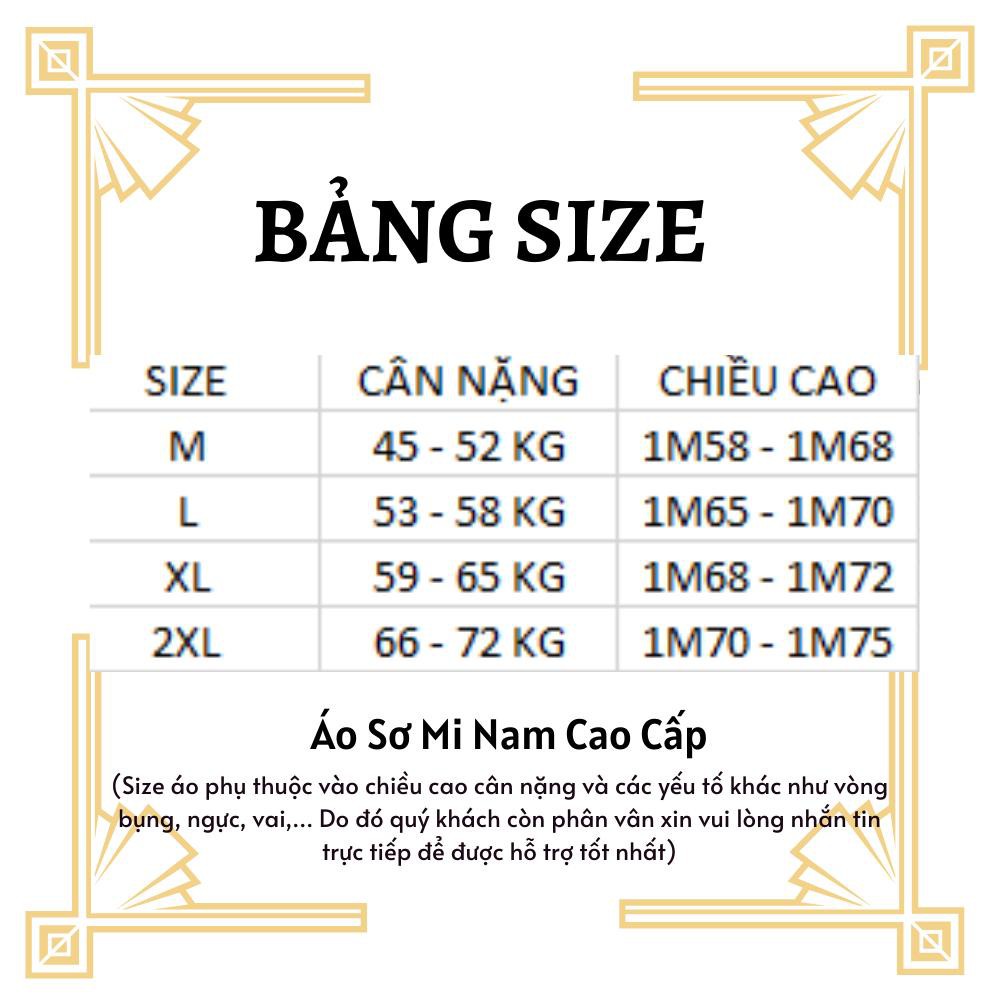 Áo Sơ Mi Kẻ Sọc Nam Vải Lụa Cao Cấp | BigBuy360 - bigbuy360.vn