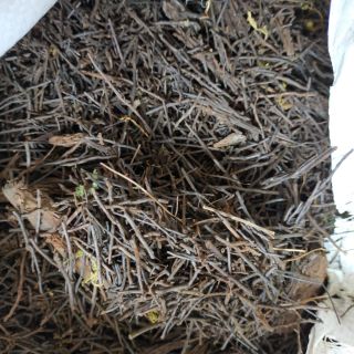 1kg dớn cọng khô