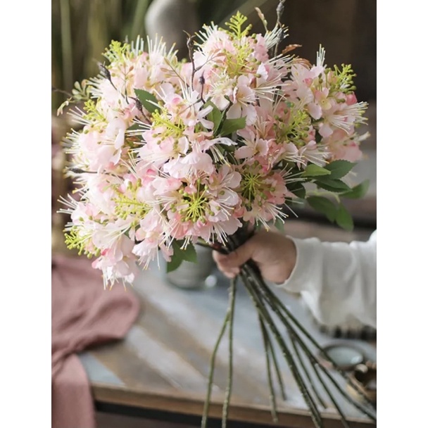 Hoa giả - Hoa phượng hoàng