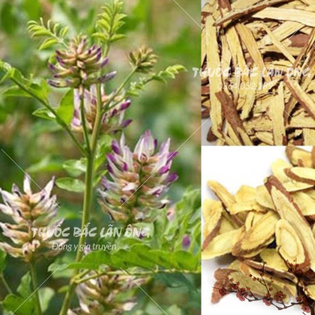 Cam thảo lát sấy khô 500g (Cam thảo bắc, trà cam thảo dưỡng nhan, thanh nhiệt )