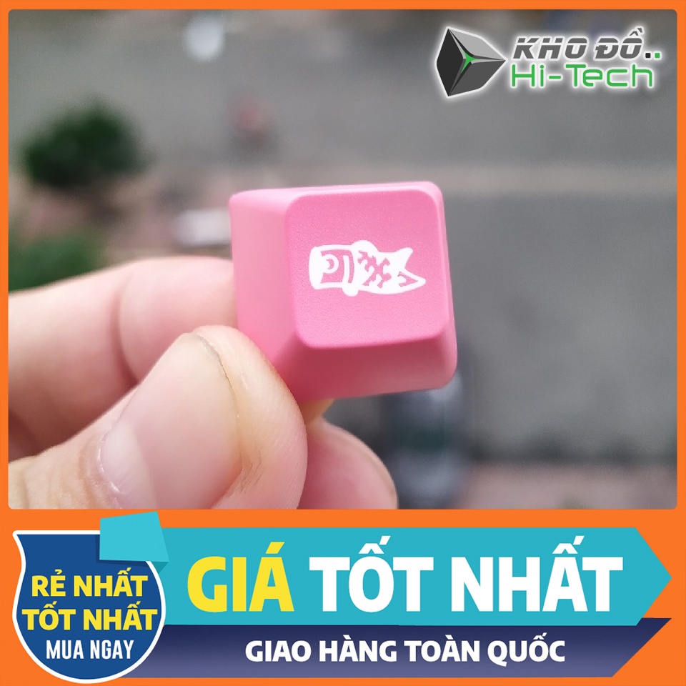 Nút keycap ASA profile lẻ 💖 𝘍𝘳𝘦𝘦𝘴𝘩𝘪𝘱 💖 Keycap Akko - ASA Profile chất lượng cao