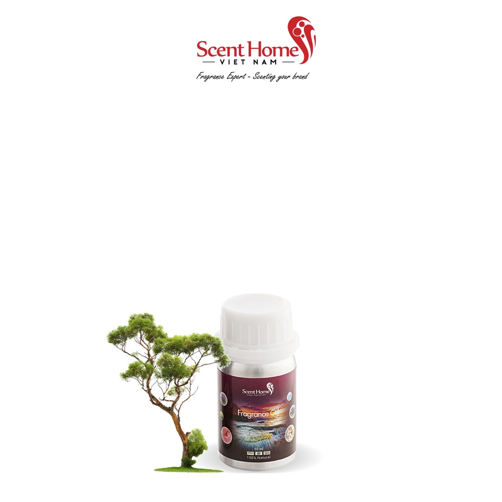 [Chính hãng] Tinh dầu Dream Tree- Scent Homes (Dream Tree - 50ml,100ml,250ml)