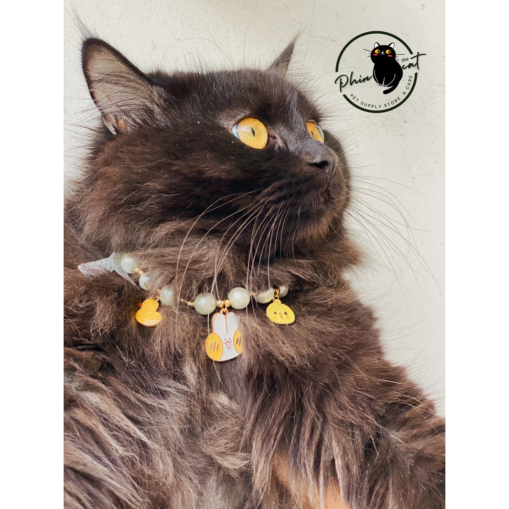 Vòng cổ cho mèo ngọc trai kèm charm siêu cute cho mèo - Handmade - Hình tự chụp - Ảnh thật | phinthecat