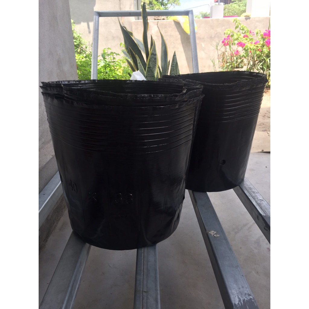 BẦU ƯƠM CÂY 40*33 ( DỊCH TRUYỀN CHO CÂY, KÍCH RỄ , MẦM CÂY XANH LÁ, LƯỚI CHE NẮNG...)