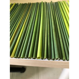 ống hút cỏ tươi (Green grass straws) 100 ống