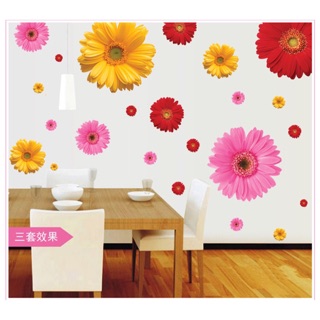 Combo 3 bức decal dán tường hoa đồng tiền vàng hồng đỏ