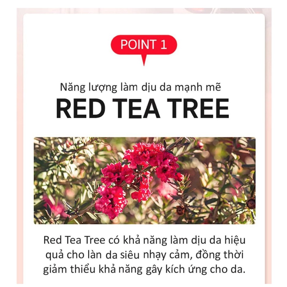 Nước Hoa Hồng Chiết Xuất Tràm Trà Đỏ SOME BY MI Cho Da Siêu Nhạy Cảm Red Tea Tree Cicassoside Final Solution Toner 150ml