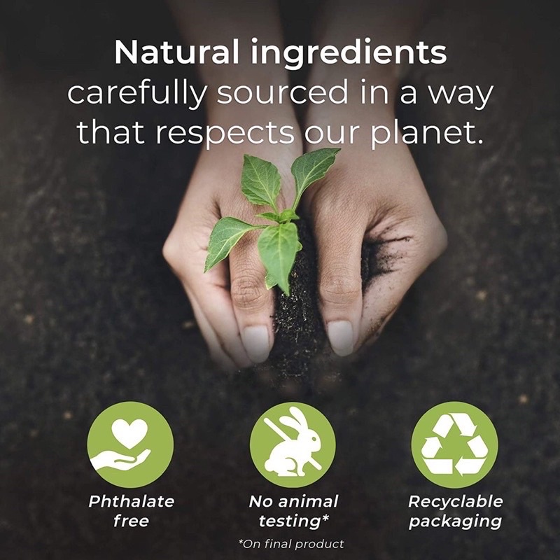 Bộ Xông Tinh Dầu Thơm Phòng Botanica By Airwick French Lavender & Honney Blossom