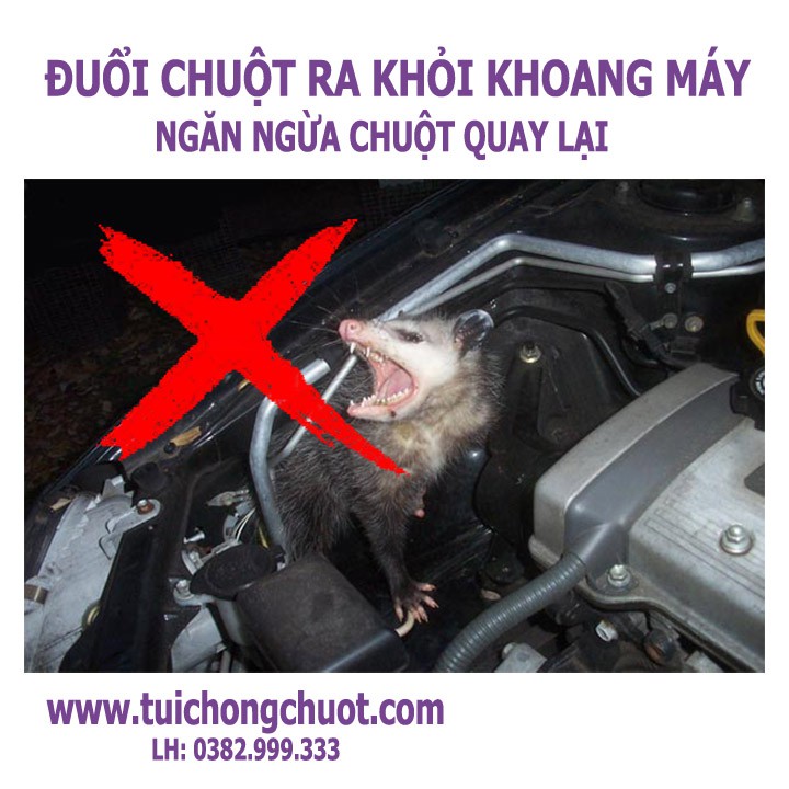 Túi chống chuột AMB chính hãng, đuổi chuột vào ô tô hiệu quả nhất hiện nay