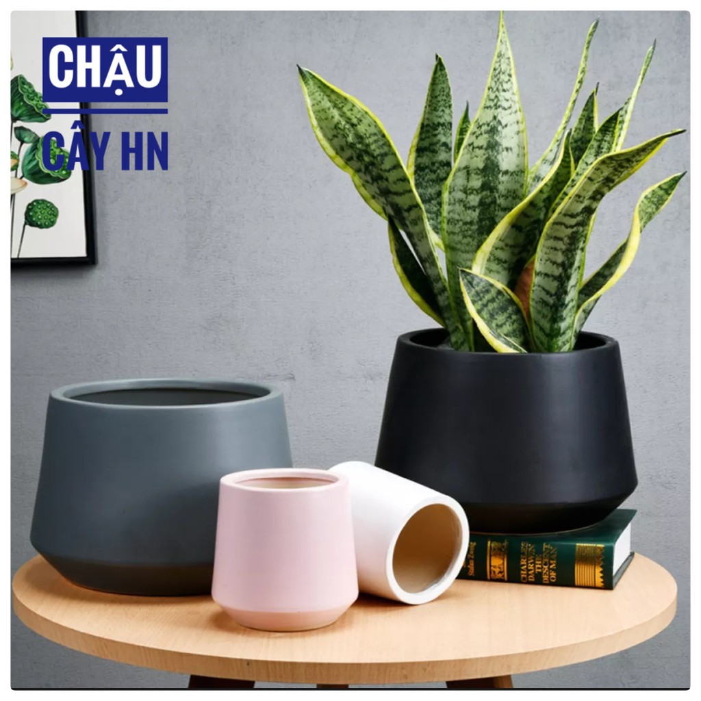 Chậu cây cảnh Chậu gốm sứ kim cương cao 8,5cm trồng cây cảnh để bàn, cây trang trí, sen đá, xương rồng