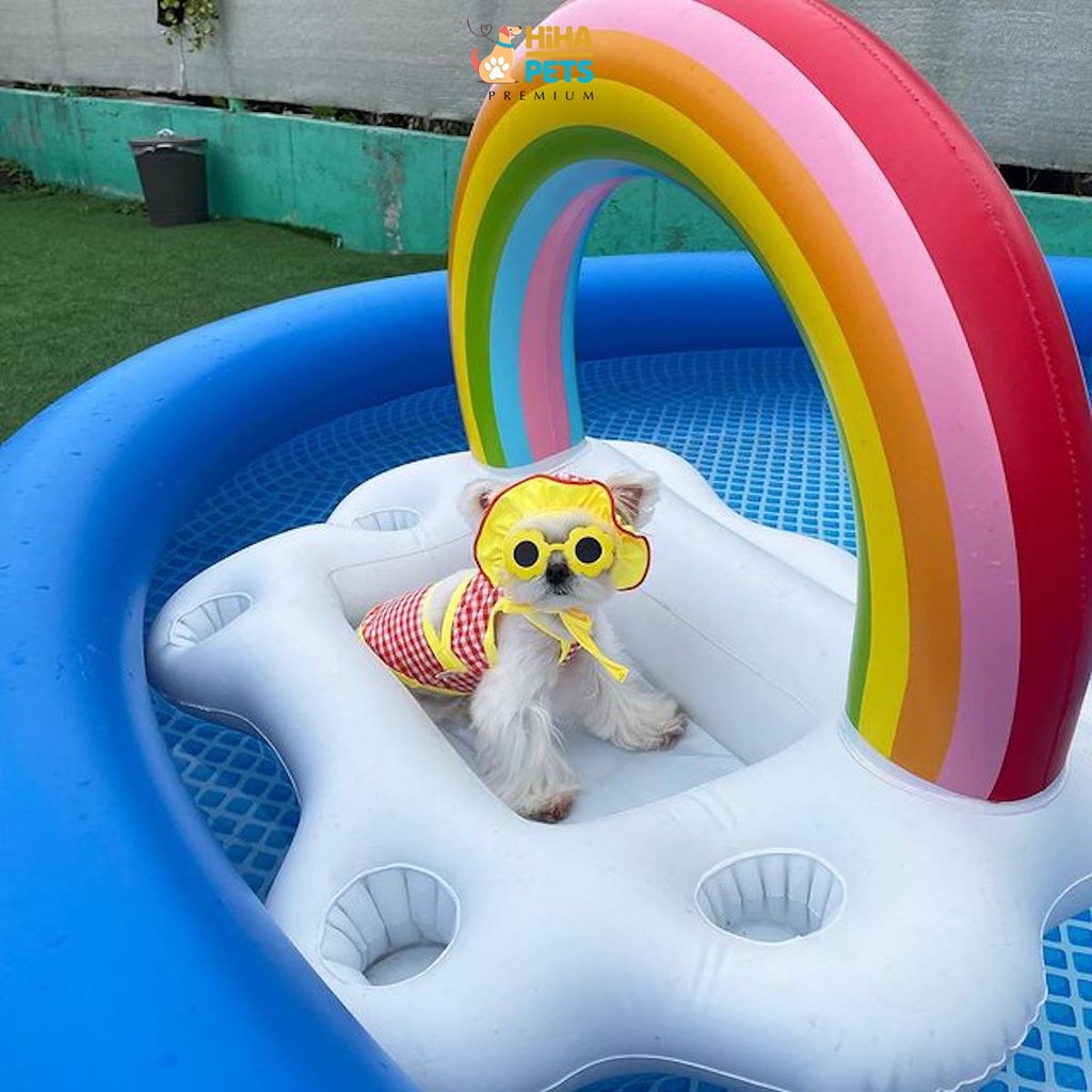 Mắt Kính Cho Chó Mèo Đi Bơi Phụ Kiện Kính Thời Trang Cho Thú Cưng Chụp Ảnh Dễ Thương Sành Điệu Hihapet.