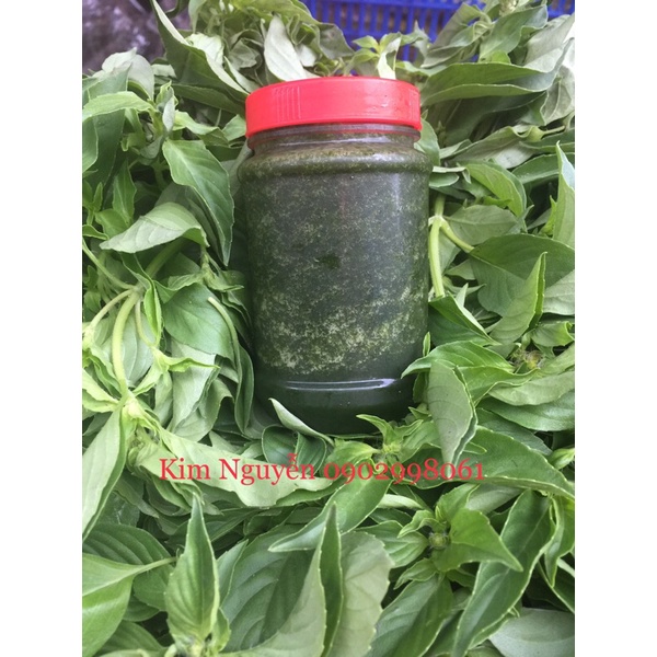 🛵SHIP HOẢ TỐC : MUỐI LÁ É TƯƠI PHÚ YÊN HŨ 250G 🌿