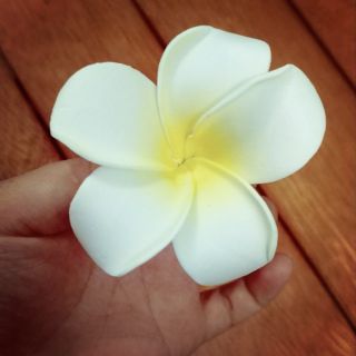 Set 6 bông hoa cài tóc hoa đại size 7cm