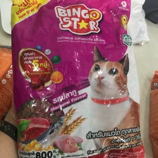 [Nhập khẩu Thái Lan] Thức ăn cho mèo Bingo Star gói 800Gr