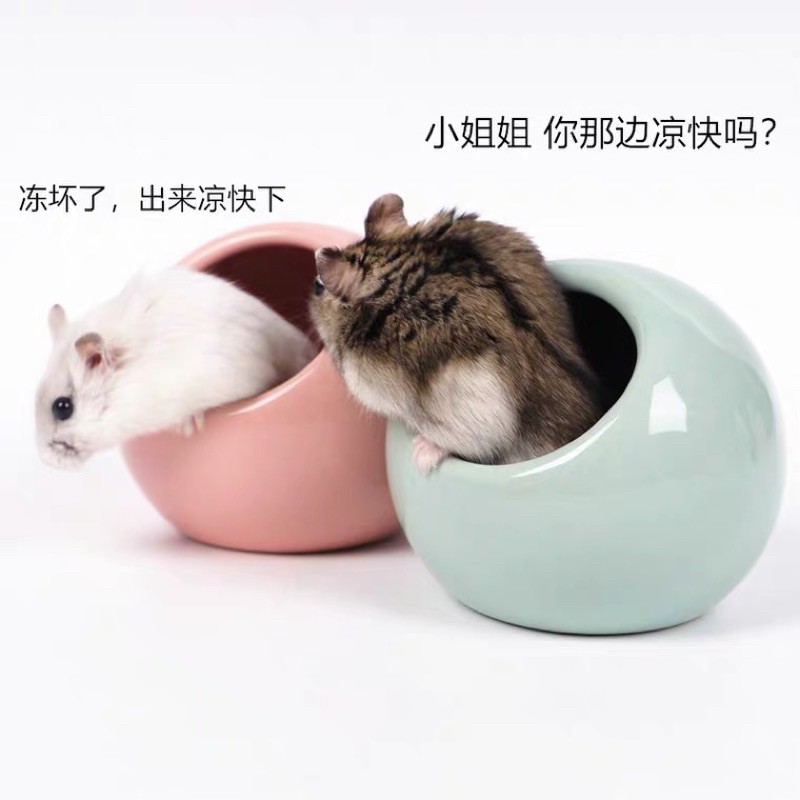 Nhà sứ tròn dành cho hamster