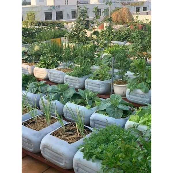 Phân Đạm Ure - Chuyên Rau Màu Hoa Cây Cảnh 1KG