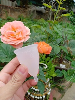 Cốc Nguyệt San MTcup