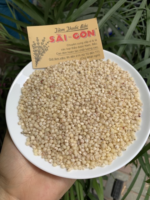 Ý Dĩ Hạt Nhỏ 100g | BigBuy360 - bigbuy360.vn