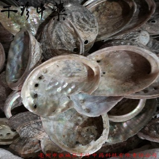 Thạch Quyết Minh ( Cửu Khổng ) khô sạch 100 gram.