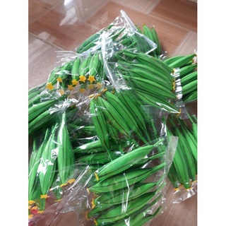 Quả xốp mầm non