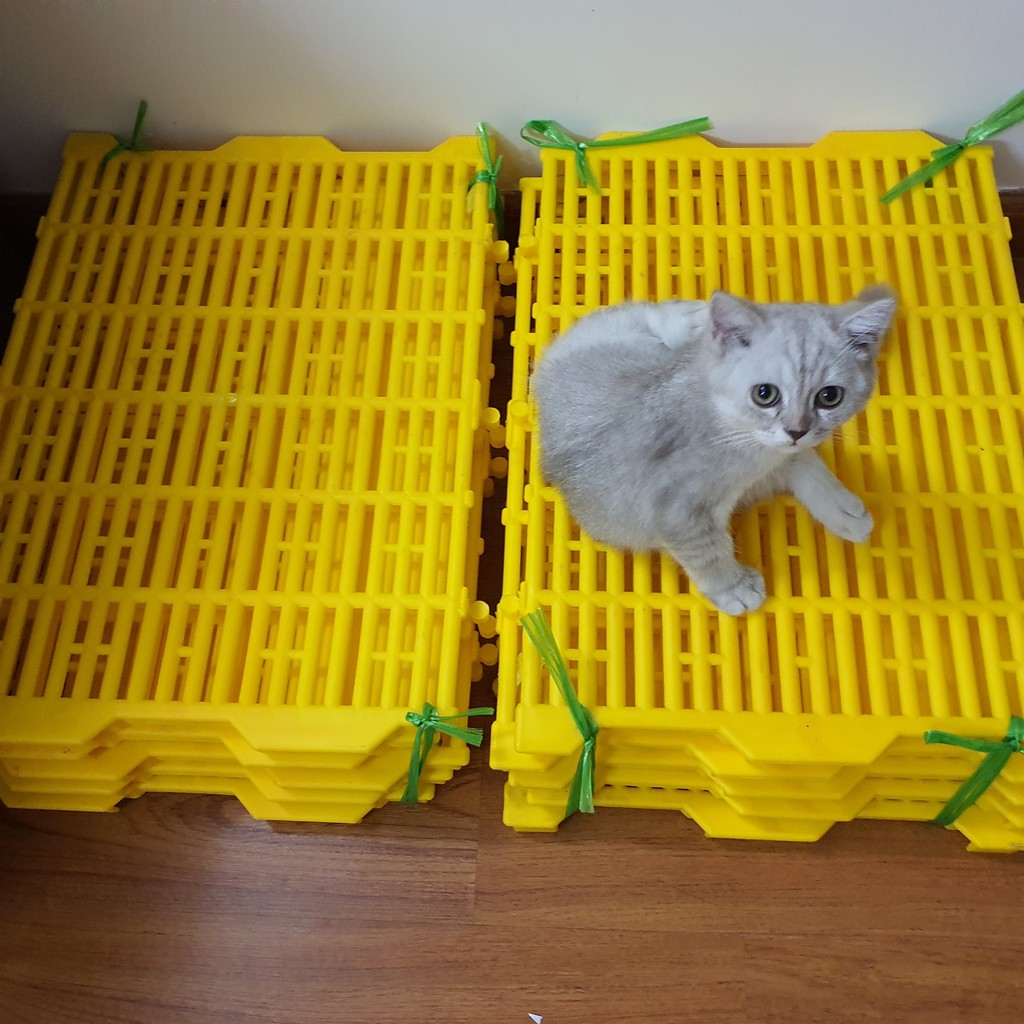 Tấm Lót Sàn Nhựa Chó Mèo 40x55cm - Sàn Nét, Bền, Chống Trơn - Nhựa Loại 1 Tặng Dây Rút Nhựa