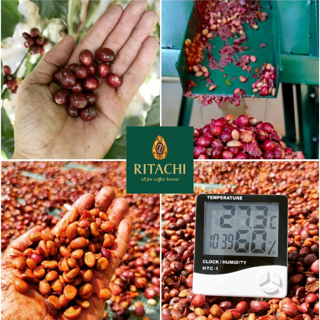 Cà phê lên men trái chín FINE ROBUSTA hương vị trái cây thơm ngon tròn vị, dùng pha phin, máy và ủ lạnh | Ritachi Coffee | BigBuy360 - bigbuy360.vn